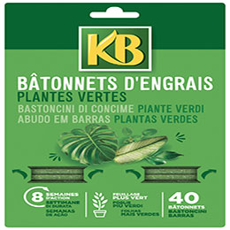 Barritas Abono Plantas Verdes - KB